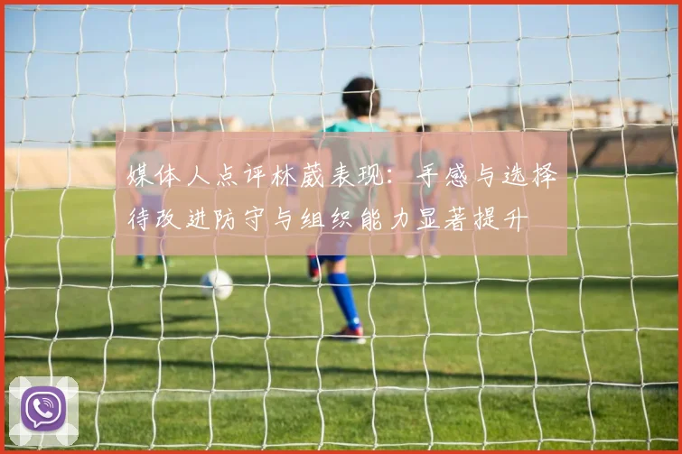 媒体人点评林葳表现：手感与选择待改进防守与组织能力显著提升