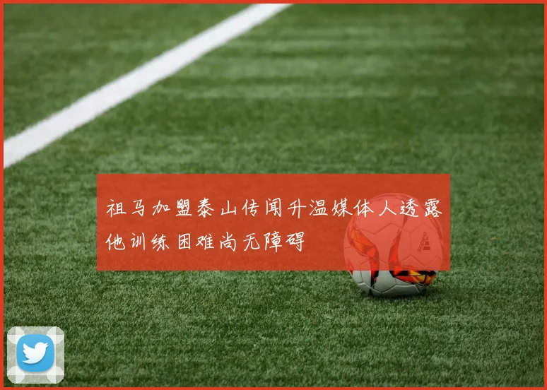祖马加盟泰山传闻升温媒体人透露他训练困难尚无障碍